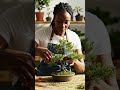 #bonsai #asmr #beautiful #trending