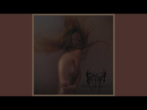 Formloff — Spyhorelandet