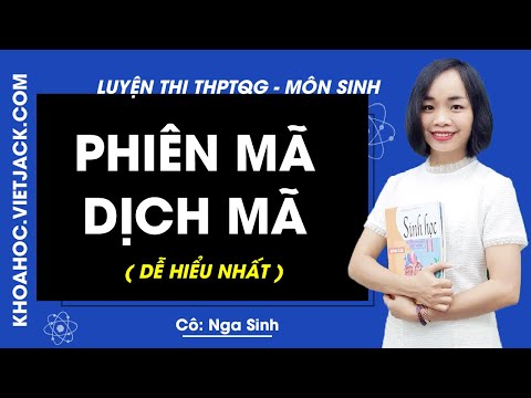 Video Phiên mã, dịch mã - Bài 2 - Sinh học 12 - Cô Nga Sinh... - YouTube