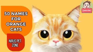 50 CUTE AND UNIQUE ORANGE/GINGER CATS NAMES | NIRU'S PET ZONE