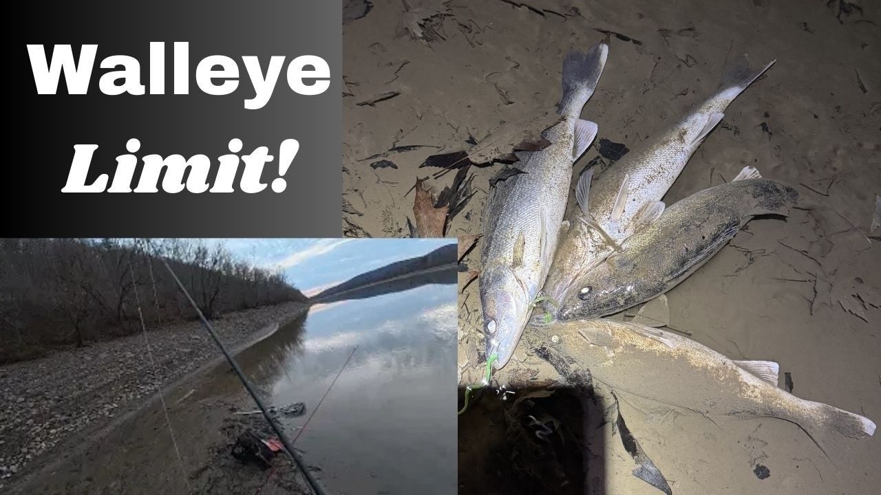 Ограничение на ловлю судака – один час! (Река Аллегейни)