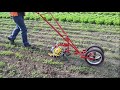 Use the Finger Weeder Wheelhoe for fast weeding in your farm