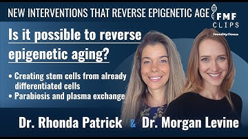 What is aging and why does it matter to scientists? | Dr. Morgan Levine