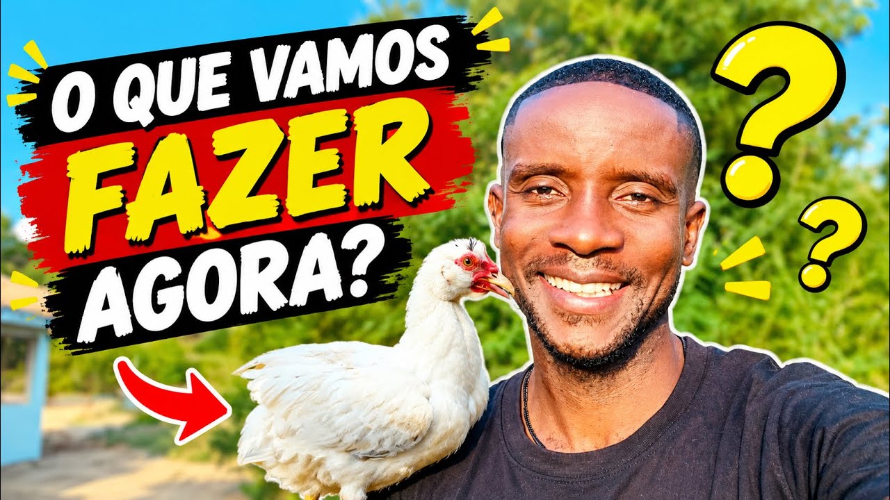 O QUE FAZER COM OS PATOS QUE RESTARAM? Nossa rotina em Moçambique!