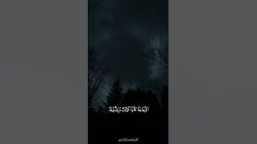 فيصل الهاجري - (الله نور السماوات والأرض) - من سورة النور