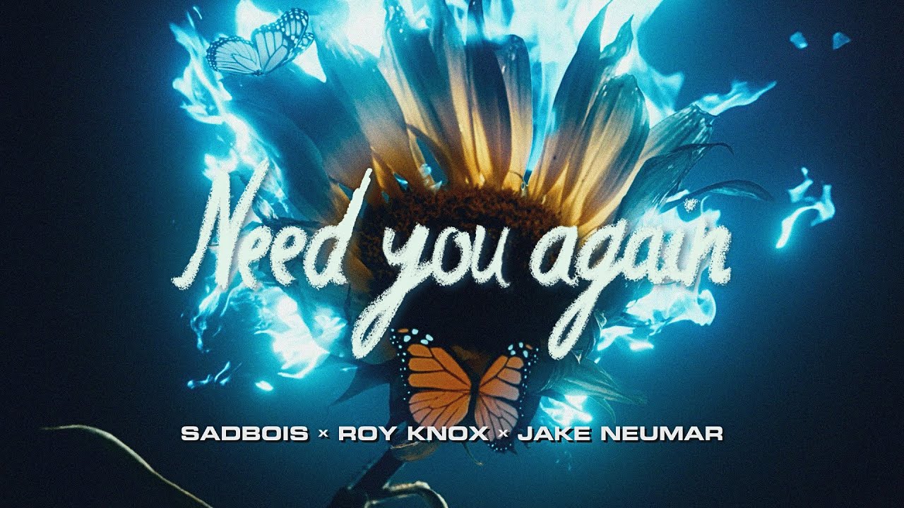 ROY KNOX, SadBois, Jake Neumar - Need You Again