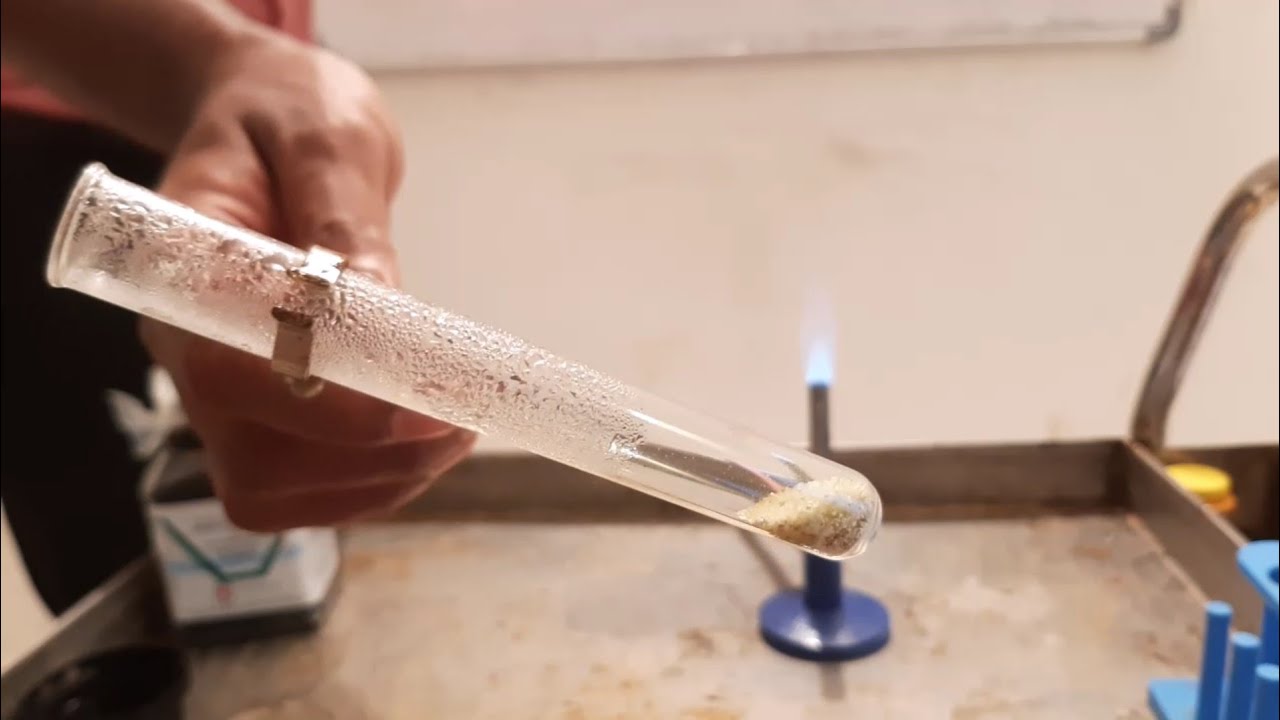 10th Science, Activity 1.5 - YouTube