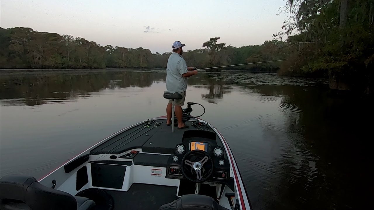 Altamaha River Bass Fishing RiverBassin YouTube