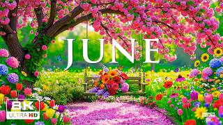 Morning Bliss 8K – Gentle June 2026 🌸 Serene Gardens, Blooming Petals & Soft Morning Light screenshot 2