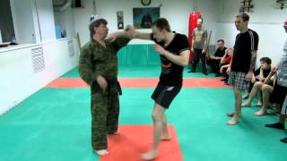 Systema Drobyshevsky-Lesson 1-Grabs, Punch & Stick Defense-Short Work