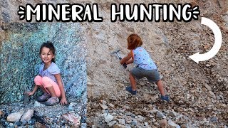 Mineral Hunting In Globe Az Family Vloggers