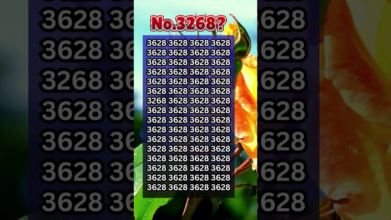 No 3268 
