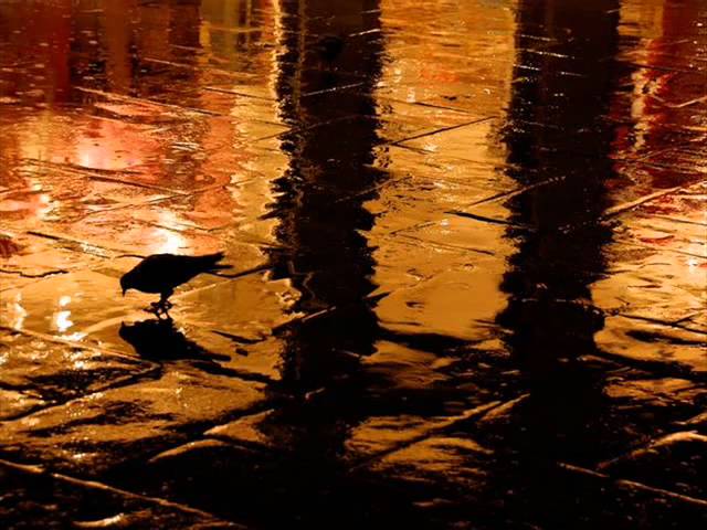 John Barry Somewhere in Time & Rachmaninov Concert 2,Rhapsody on a theme accordi
