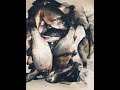 Truman Lake Fishing - Multi-Species!