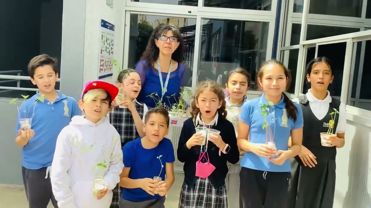 La Francophonie Primaire