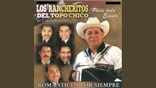 Video thumbnail of "Los Rancheritos Del Topo Chico De Catarino Leos - Bodas de Plata"