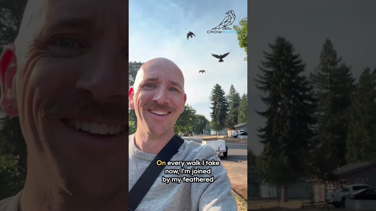 How This Man Befriended Neighborhood Crows Part 2 Crowfriends Corvids