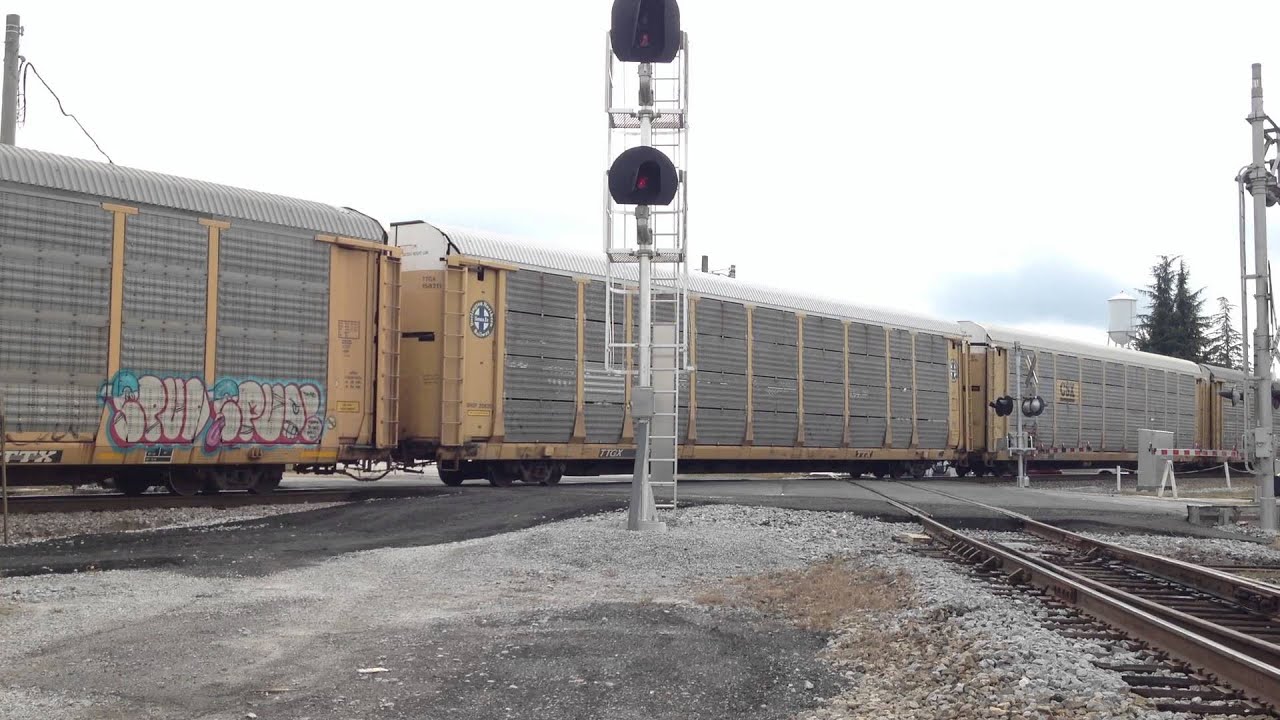 NS Auto Train in Bremen, GA