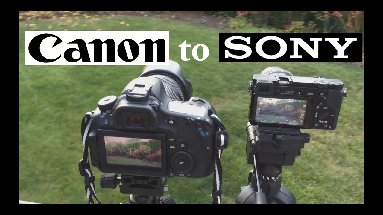 Why I Switched to the Sony A6000