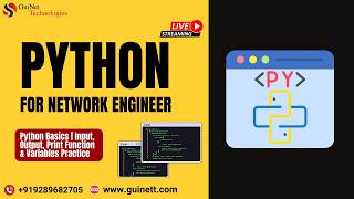 Python Basics | Input, Output, Print Function & Variables Practice Net Worth