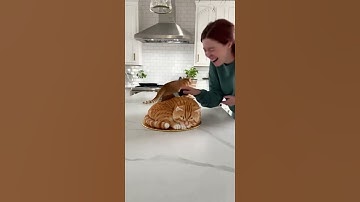 🤣She Cuts a Cat Cake — and the Real Cat Freaks Out! | ‘Calma, é só bolo!