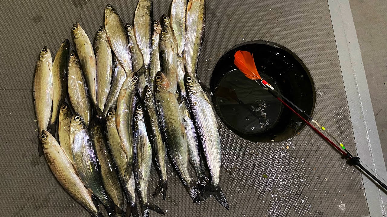 ДОМОВ НА ЛЬДУ БОЛЬШЕ ЧЕМ В ГОРОДЕ! рыбалка на ДИЧАЙШЕЙ ГЛУБИНЕ 31 МЕТР ...