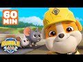Rubble's Silliest Animal Rescues in Builder Cove! | 1 Hour Compilation | Rubble & Crew