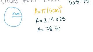 Module 5 Review (Area and Volume)