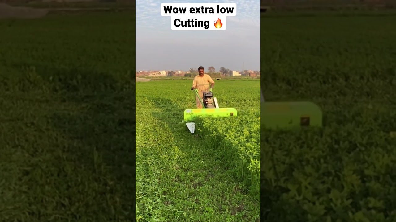 ALPHA, LUCERN,BARSEEM CUTTER | 03041112220