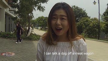 The Controlling Idea