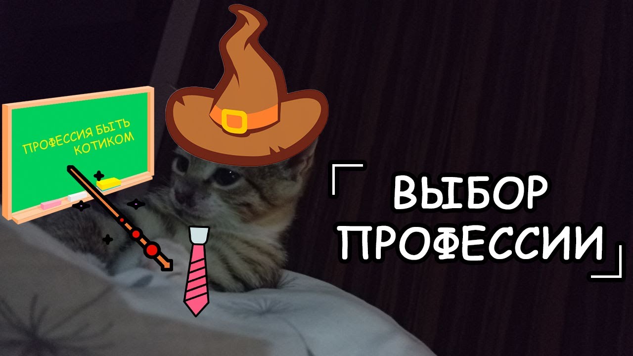 Котики поясняют, как правильно выбрать профессию.