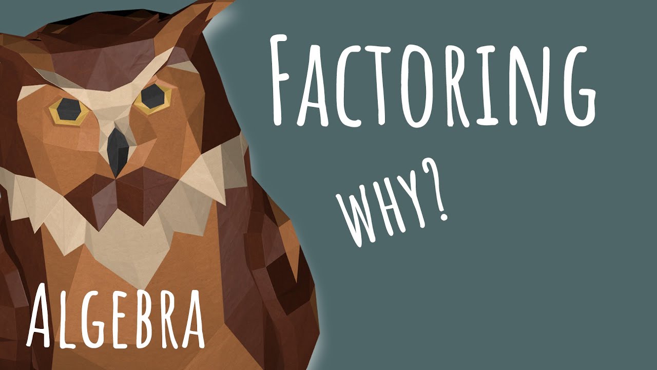 WHY use Factoring to Solve Polynomials & Inequalities ALGEBRA