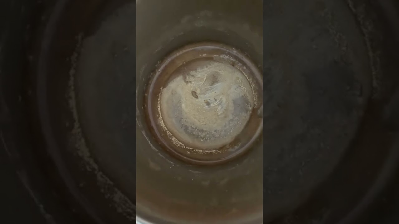 What’s in your water? Part 3: is filtered water cleaner than tap water?