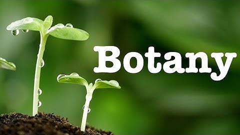 #Solved #pastpapersemester #1st#botony(plant diversity)#course code Bot-101 Punjab university of lah