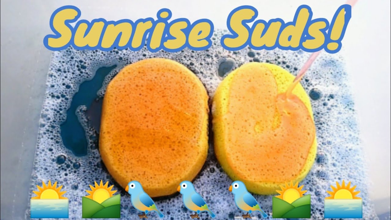 🌄🌅Suds at Sunrise🌅🌄 Glove ➕ Water Sounds‼️‼️