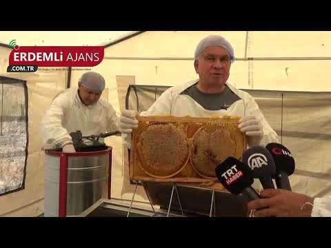 Toroslarda Ballı Sezon