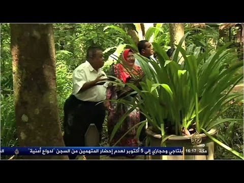 زيادة الاقبال على الأعشاب الطبية في العلاج بماليزيا
