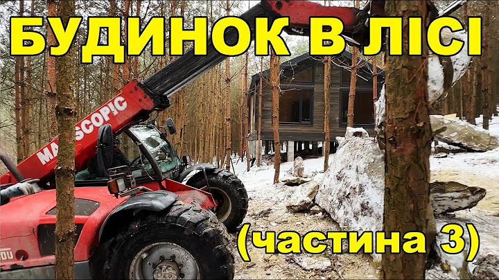 БУДИНОК В ЛІСІ (частина 3)
