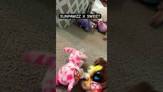 Sunpawzz X Sweet