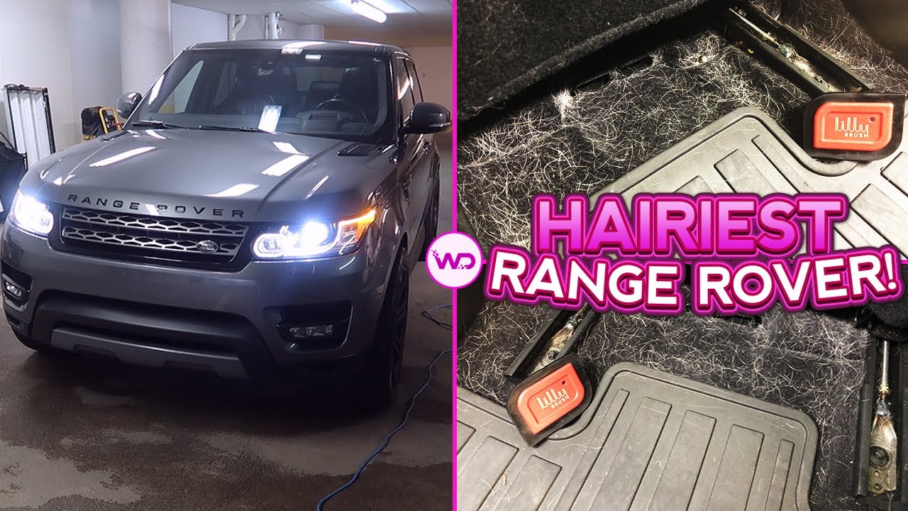 Deep Cleaning a Girl's HAIRY Range Rover EXTREME Dog Hair Removal
