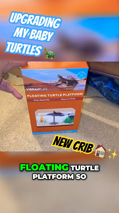 Turtle Tank Essentials 🐢💚 Step-by-Step Setup for First-Time Owners