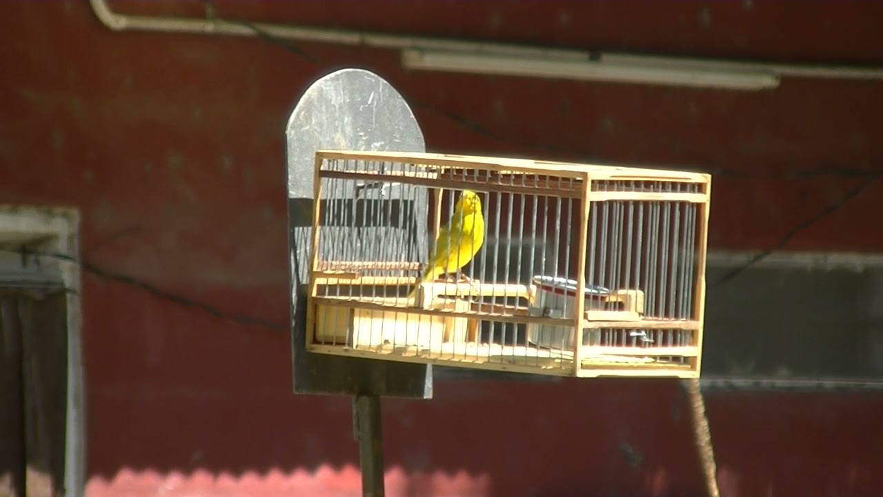 Campeon final de ganadores amarillo sin cierre Nuevo Irupe 22-01-23