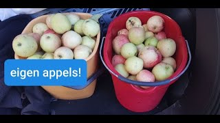 Wonen in Zweden! Het verwerken van onze eigen appels! #vlog65