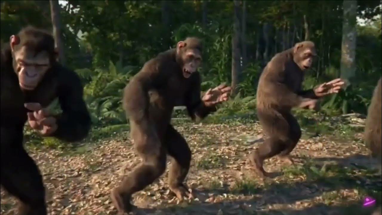 полное хорошо видео. полное хорошо видео. ержан обезьянка. приколы девушки с животными. эдди мерфи большая мамочка.