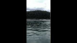 Lake Cumberland Poker Run 2012