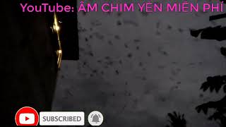 Download Lagu SP MJ terbukti respon. Âm ngoài dụ yến mới nhất 2021. Link download mp3 ở dưới phần mô tả MP3