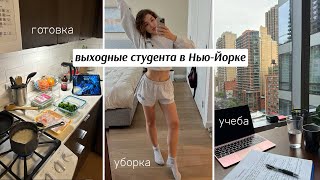 Как проходят выходные студентки в Нью-Йорке I домашний ВЛОГ