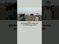 तेलंगाना में पेड की काटा जा रहा है... कहा सोये है सभी लोग वीडियो को ज्यादा से ज्यादा शेयर करें l