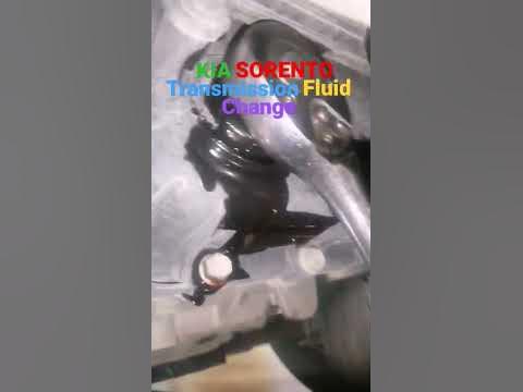 kia Sorento transmission fluid change #petromin #trending #viral #