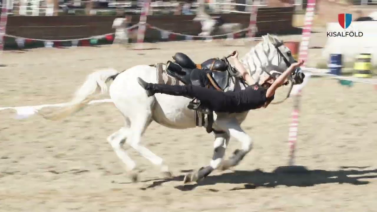 Pónis ördöglovasok készülnek Győrben a Nemzeti Vágtára